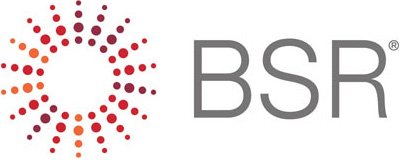 BSR > 다쏘시스템
