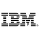 IBM logo