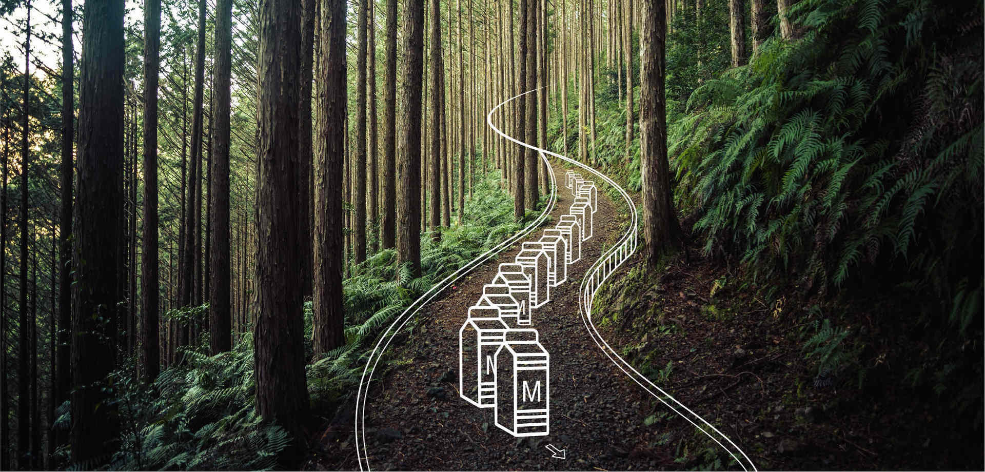 Consumer Packaged Goods & Retail Solutions > Dassault Systèmes