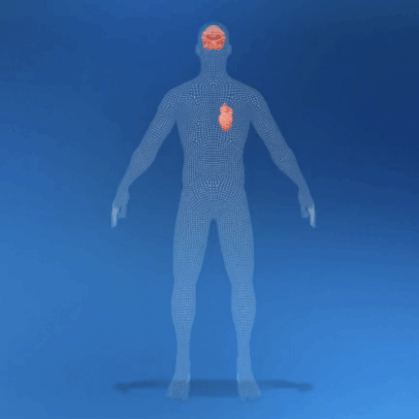 virtual twin human body - Dassault Systèmes
