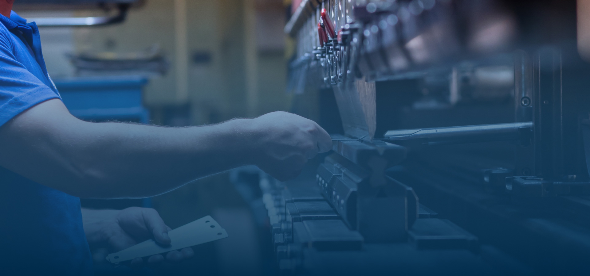 Shift from Global to Local > Trendbook > Dassault Systèmes®