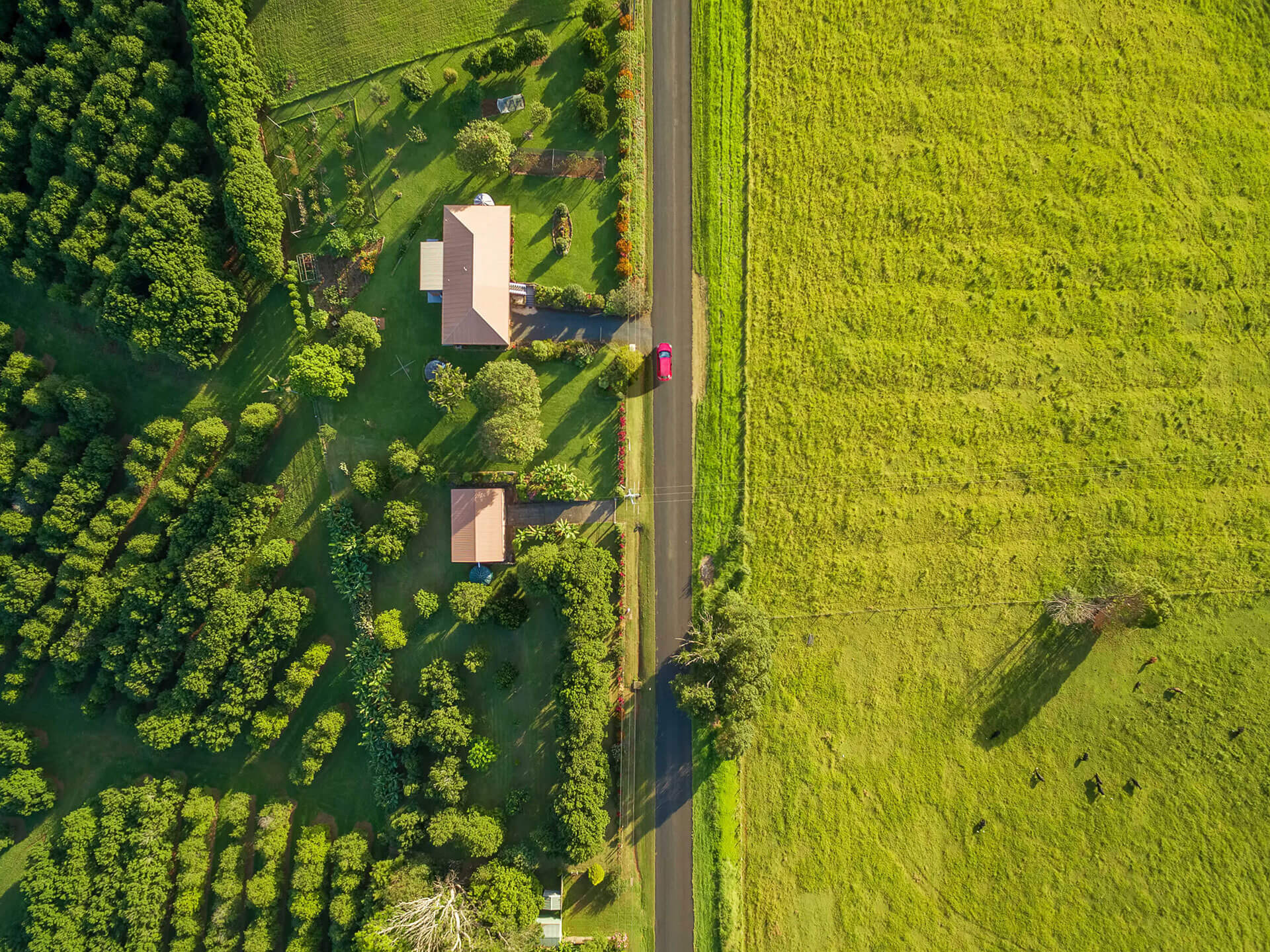 sustainable-consumption-dassault-systemes