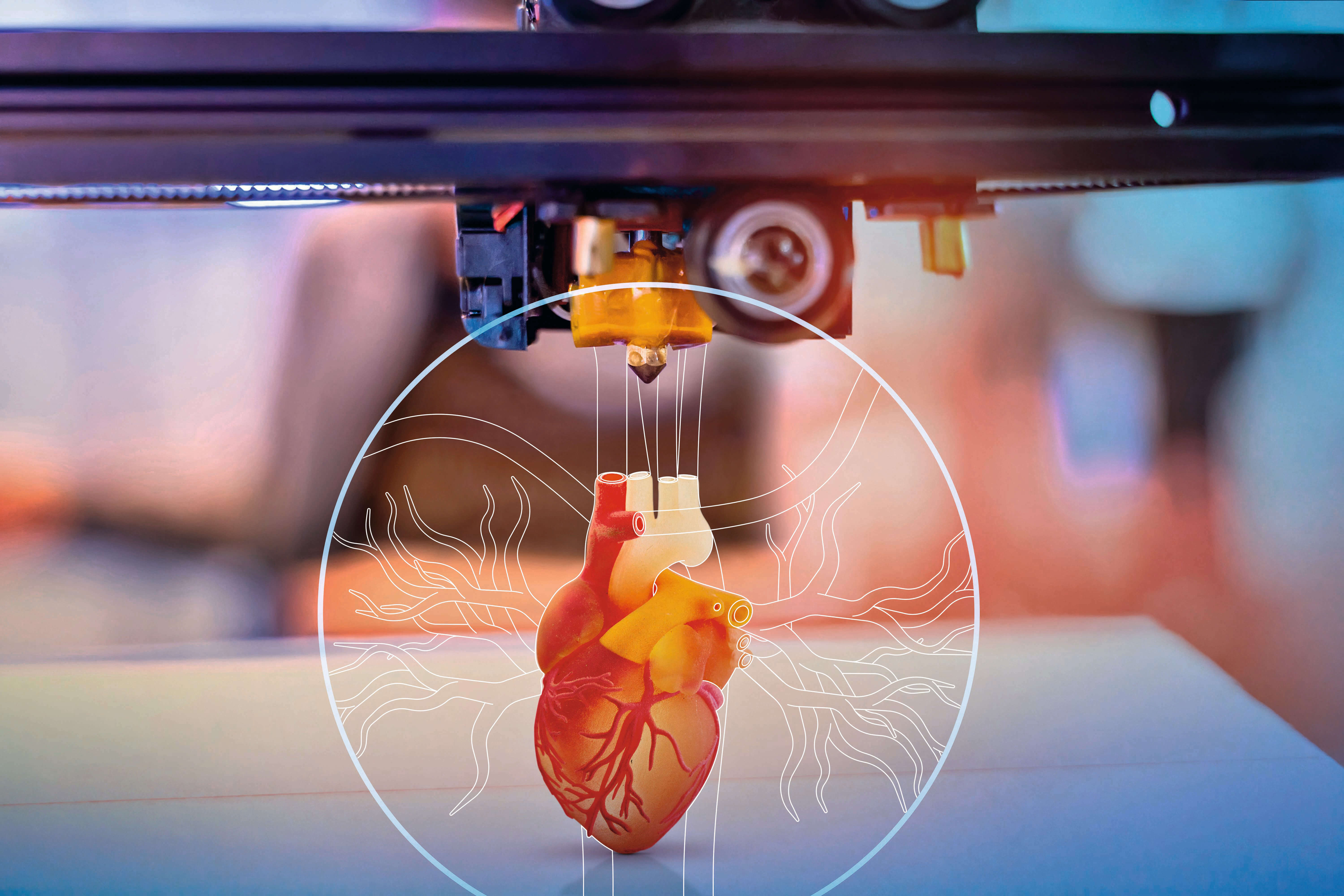 virtual twin heart > corporate report > Dassault Systèmes