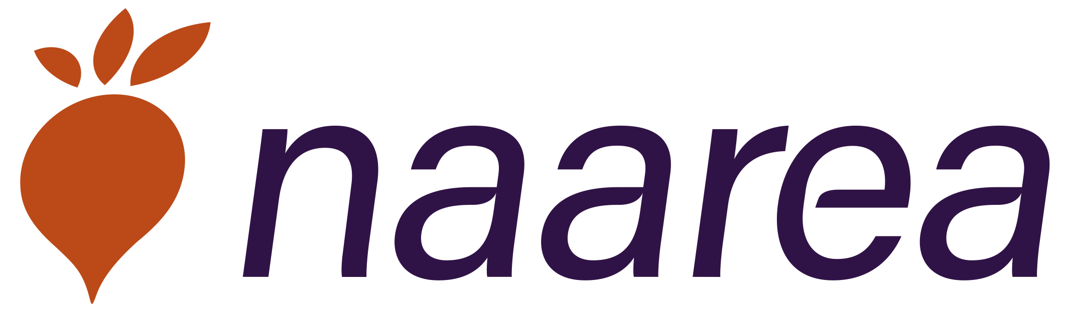 naarea logo > Dassault Systemes