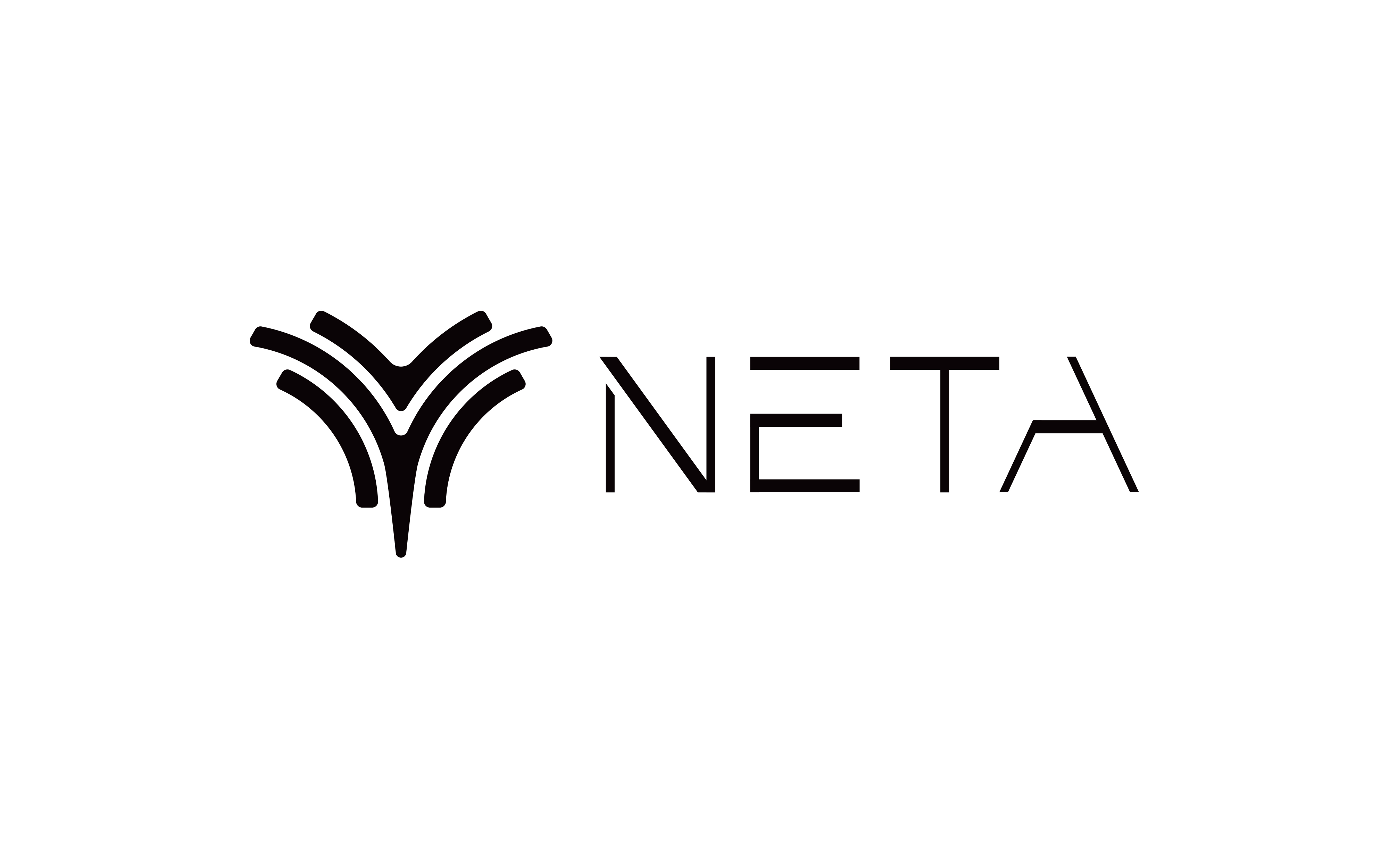 Neta Auto logo > Dassault Systèmes
