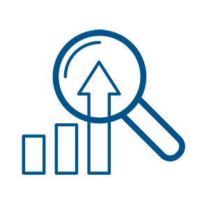 Performance Optimization icon