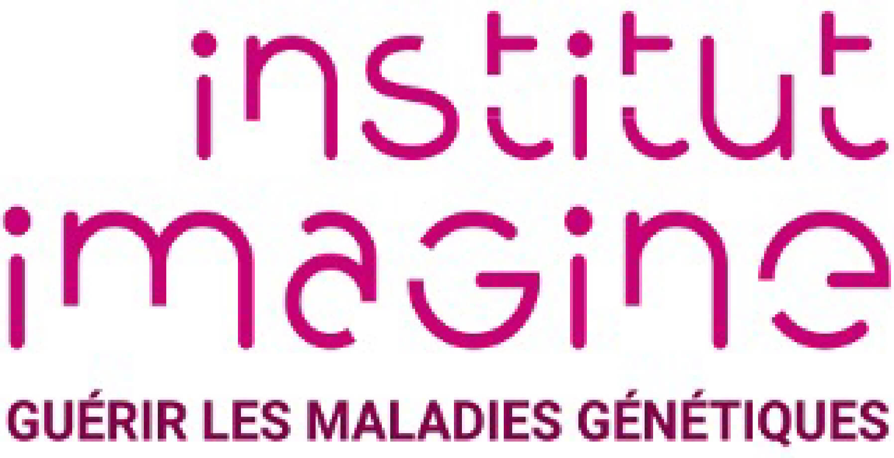 logo IHU Imagine