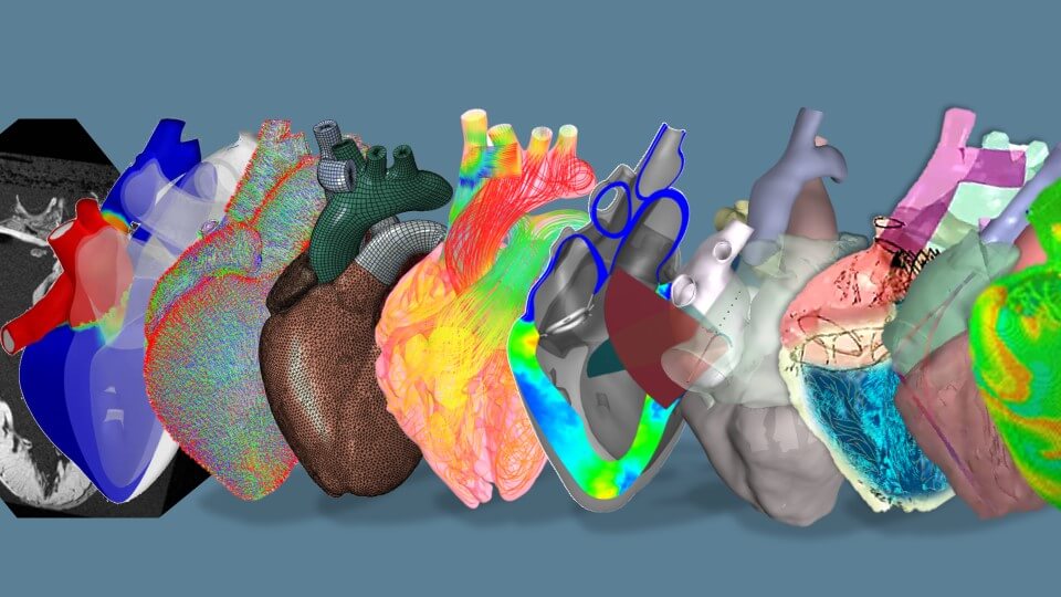 Living heart project illustration