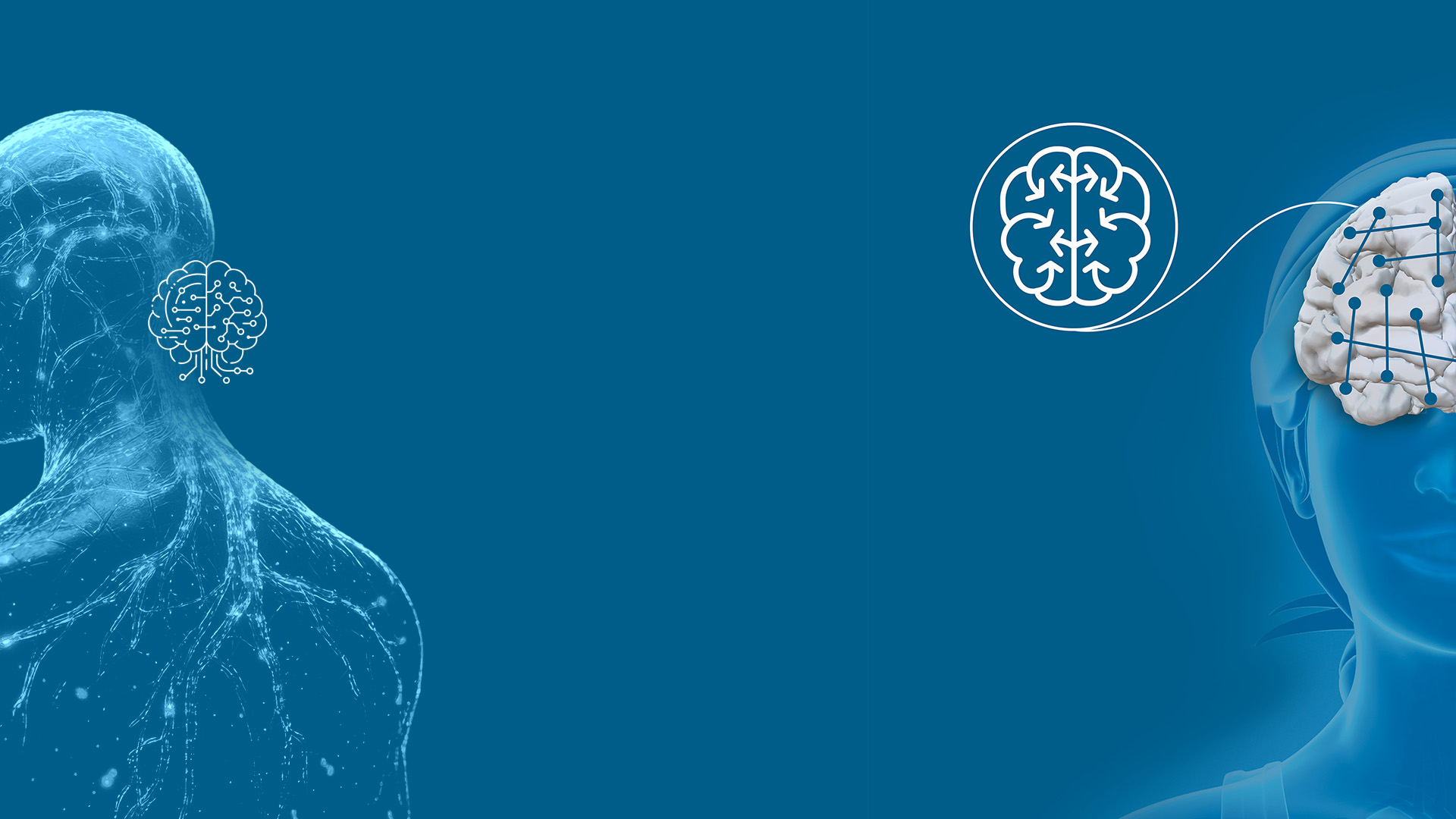 BrainSightAI generating personalized brain maps from MRI to improve diagnosis and treatment of brain disorders > Dassault Systèmes