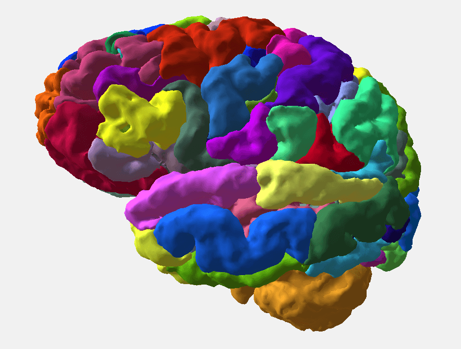 AI-powered tools by BrainSightAI help clinicians detect neurological and psychiatric disorders accurately > Dassault Systèmes