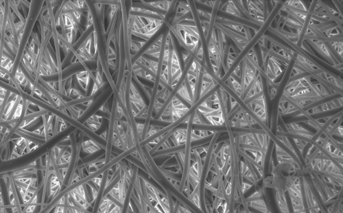 Corneat vision's matrix inspired by nature to restore vision and health