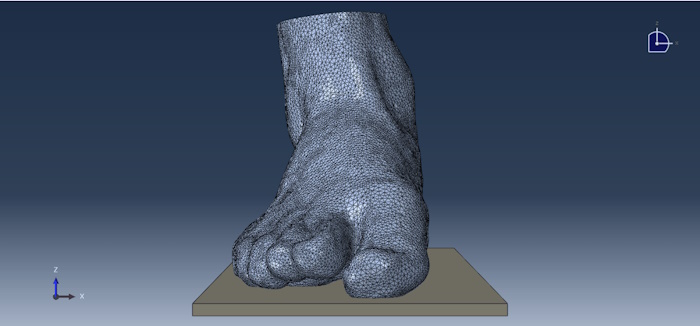 Médecin examinant un modèle 3D virtuel jumeau du pied