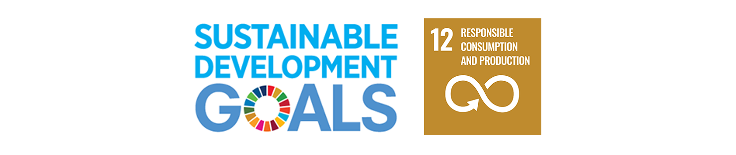 SDG 12
