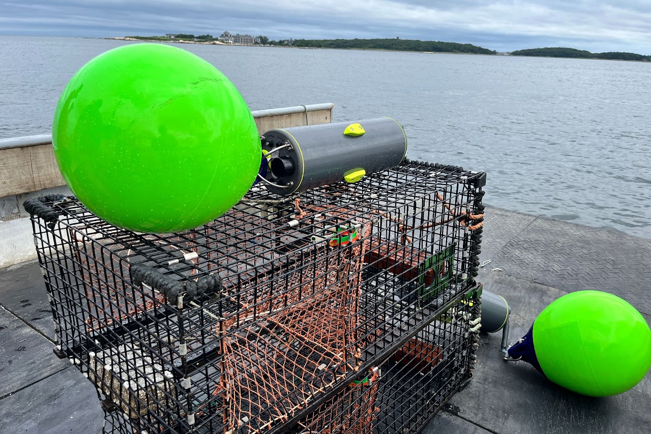LiftLabs's whale-safe fishing methods