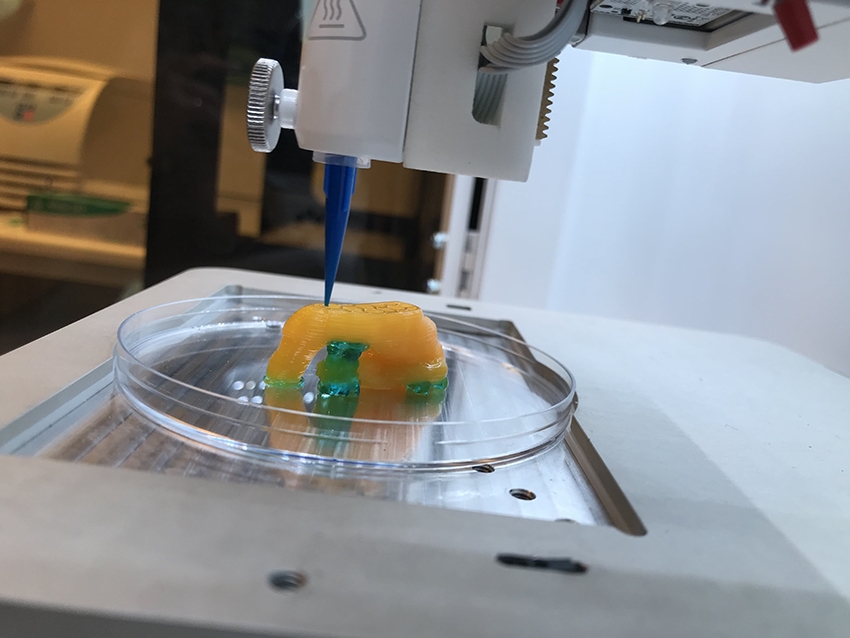 Modèle d’arc aortique imprimé en 3D présenté avec la technologie de bioprinting Cellink