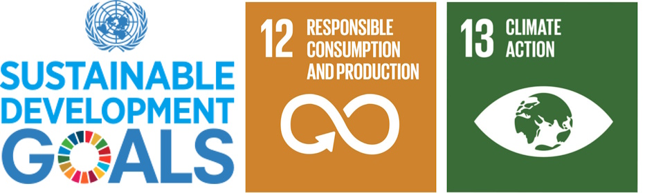 sdg-12-13