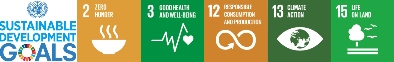 sdg-2-3-12-13-15