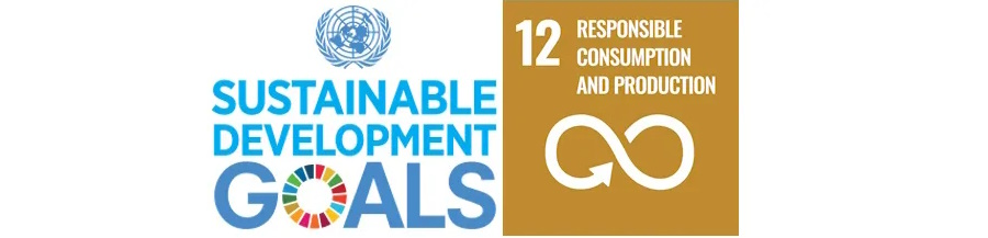 United Nations Sustainable Development Goal 12: Responsible Consumption and Production