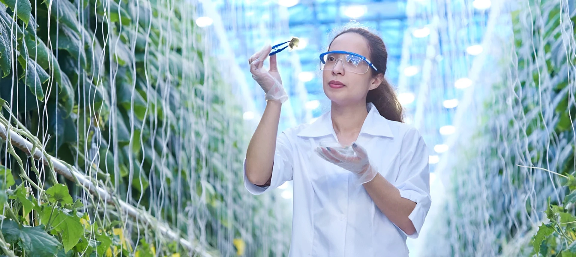 Race For Science-Driven Innovation > Dassault Systèmes®