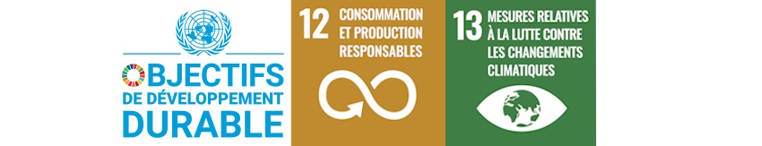sdg-12-13