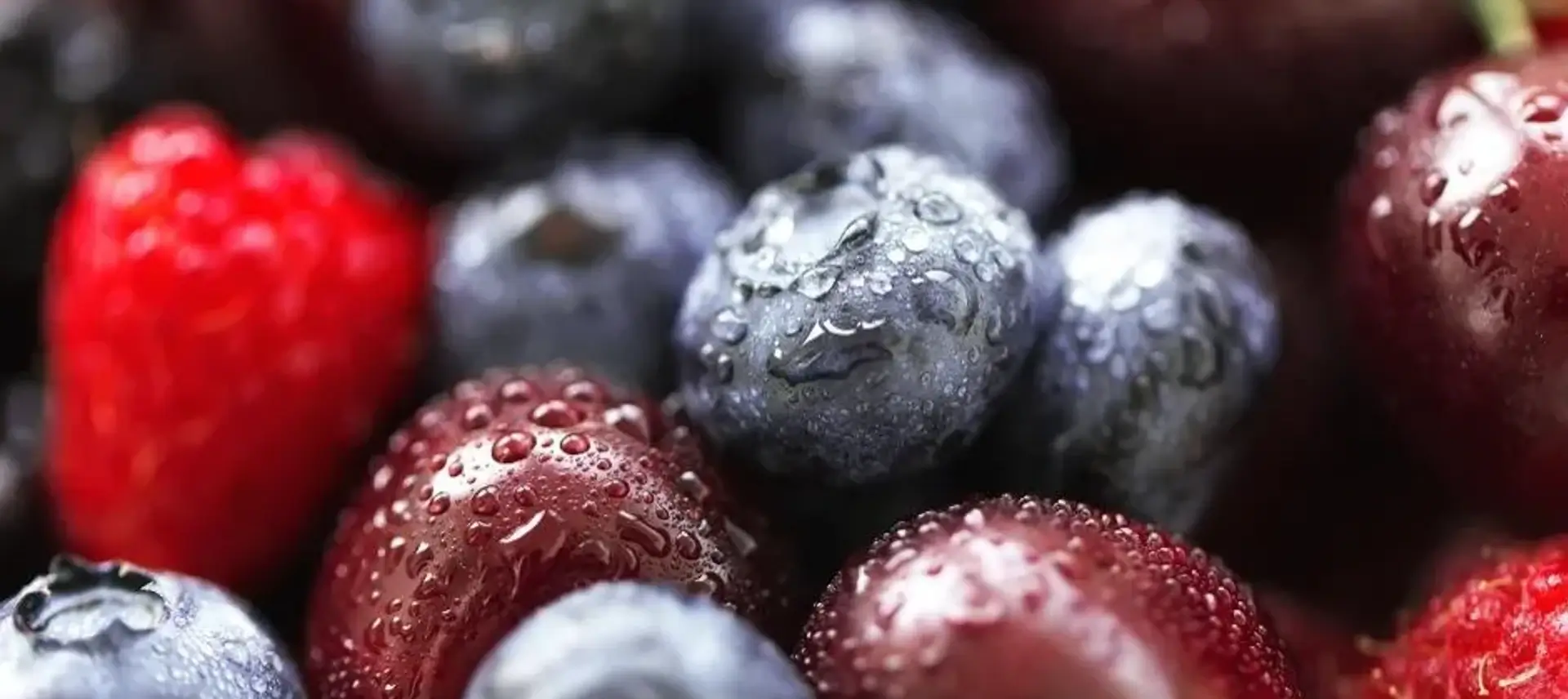 Food & Beverage > Dassault Systèmes®