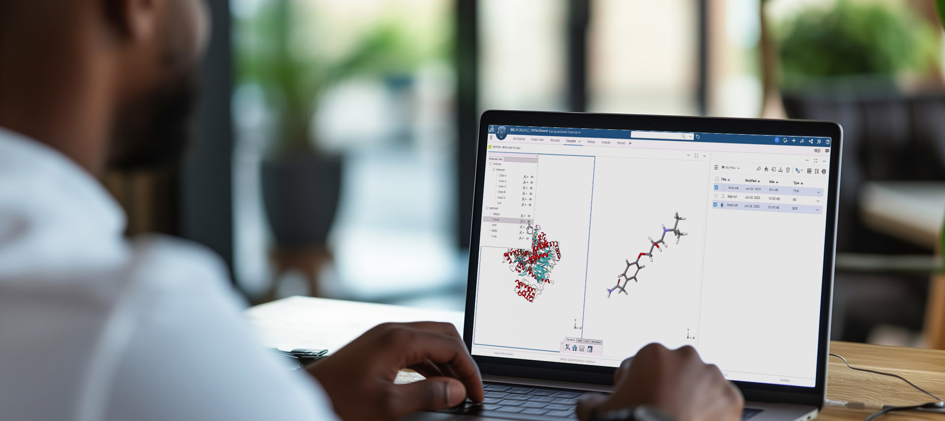 BIOVIA Discovery Studio Simulations > Dassault Systemes