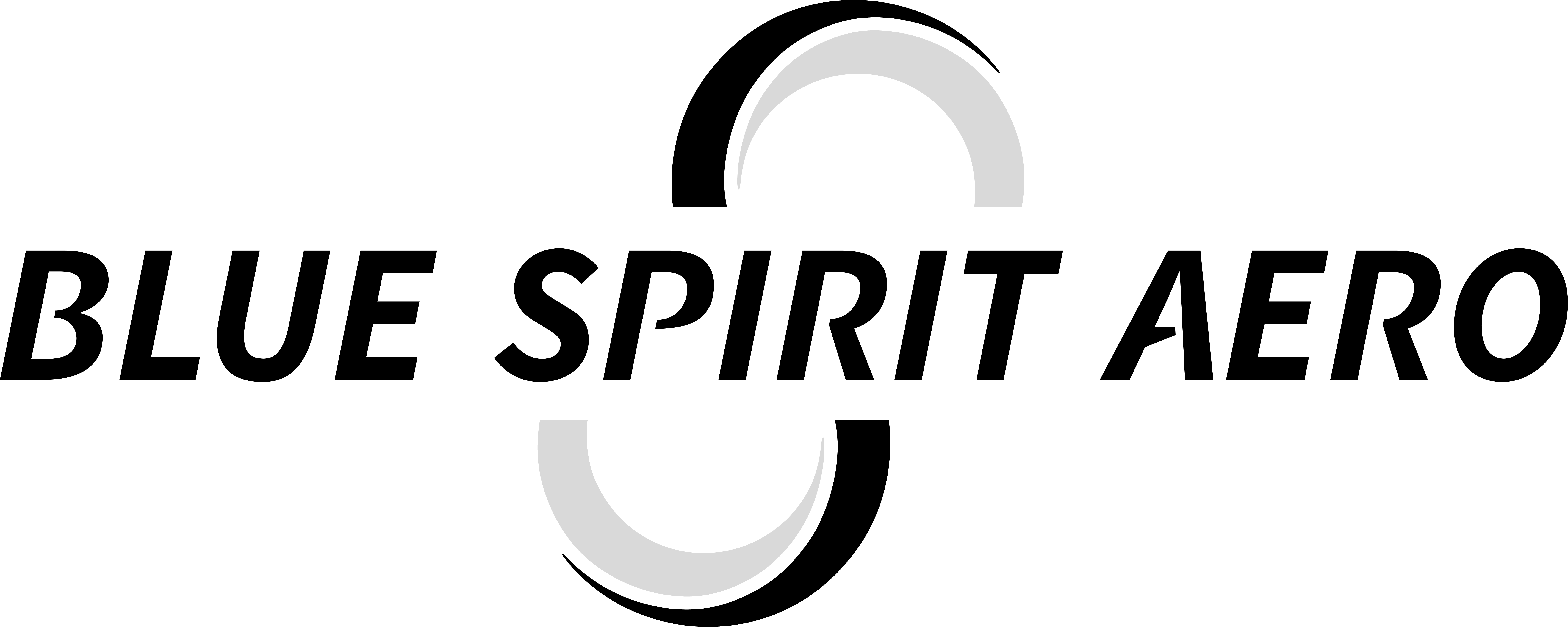 Blue Spirit Aero Logo > Dassault Systèmes