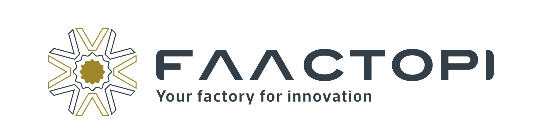 Faactopti logo > Dassault Systèmes