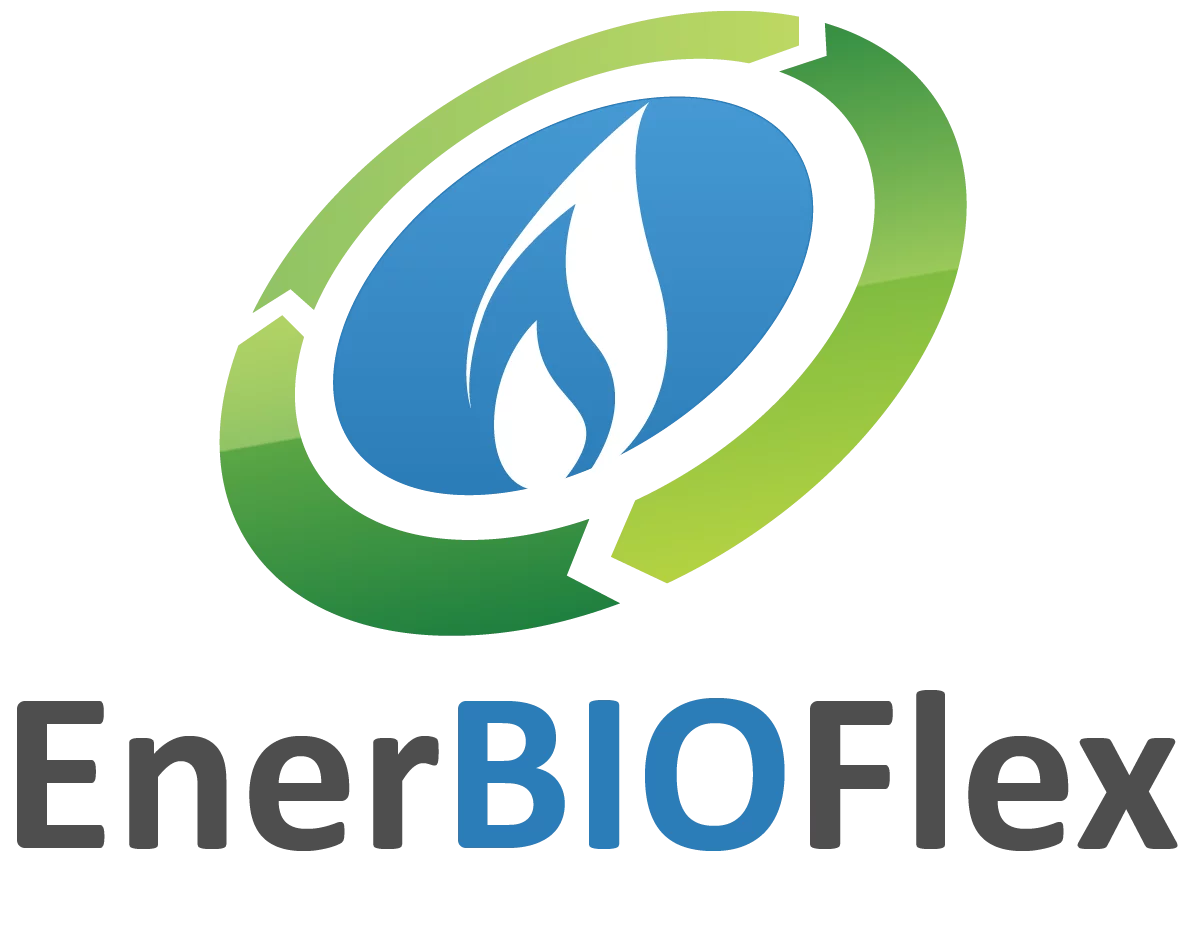Enerbioflex Logo