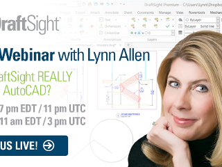NEW LIVE Webinars with Lynn Allen!