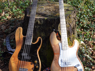 Bass guitar(s) build