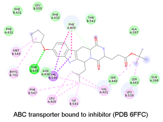 [Article highlight] Inhibitory Effects of Alkaloids on BCRP Implicated in Reversing Multidrug Resistance: A Case Example of Enhancing Temozolomide Cytotoxicity