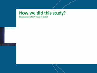 Mölnlycke Health Care | Finite Element Evaluation of Negative Pressure Wound Therapy Effects on Surgical Incisions | Alit Putra | EURONORTH RUM 2026