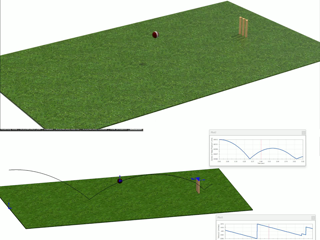  When Physics Meets Cricket