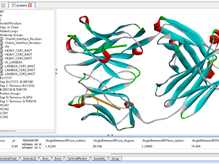 [Protocol] Annotate Antibody Structure and report VH/VL angle