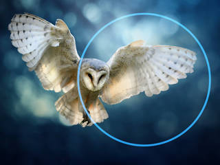 WEBINAR by Dymola Team 'SMART DESIGN MEETS FAST RESULTS', July 9, 3:00pm CET