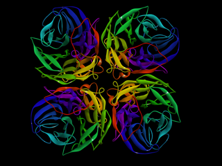 [Script] Individually color each chain of a protein using the rainbow