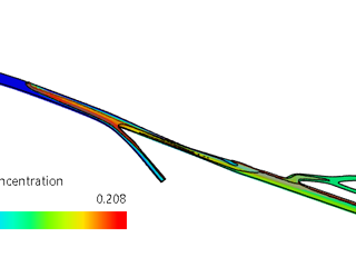 New 3DEXPERIENCE Example: Blood Flow with Scalar Transport