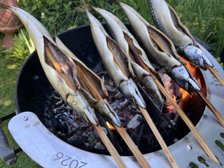 Friday is Fish Day!