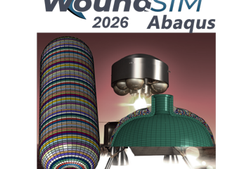 WoundSim Abaqus 2026-1 Release