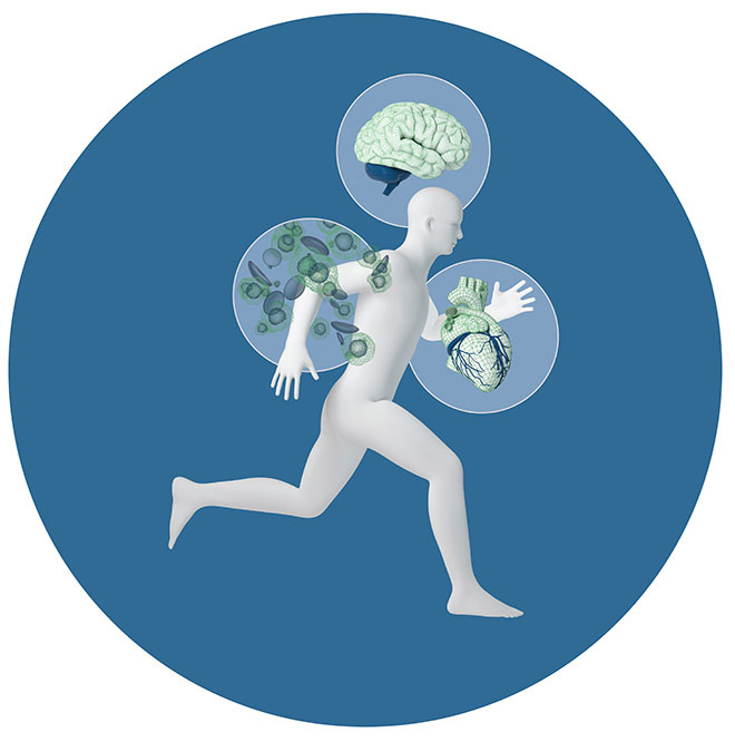 Virtual Twin Experiences