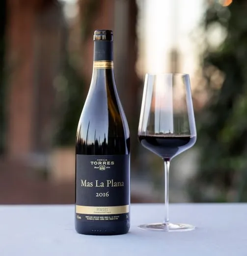 スペインのワイナリー、ファミリア・トーレスがイノベーション開発