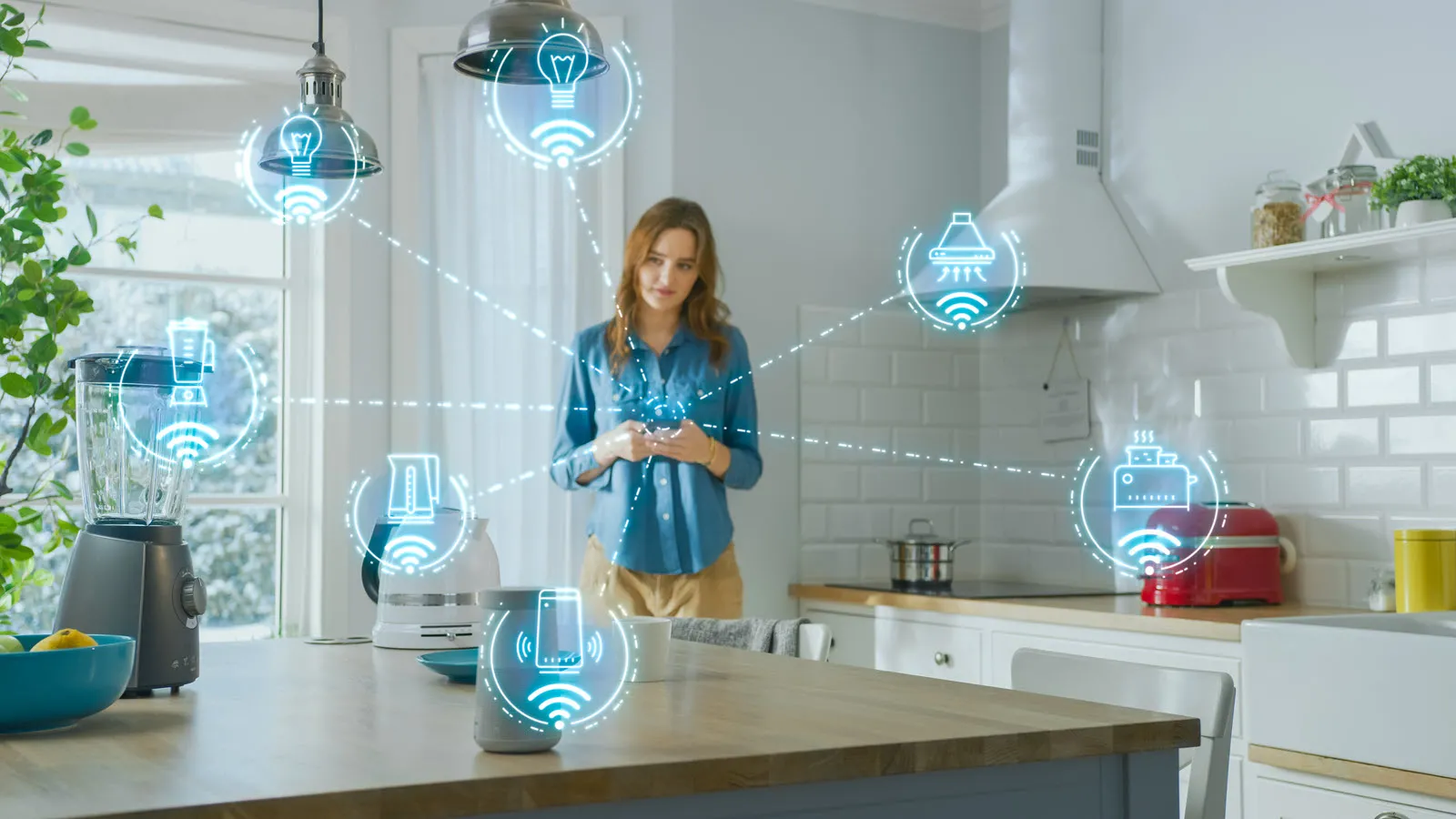 Home & Lifestyle Solutions > Dassault Systèmes