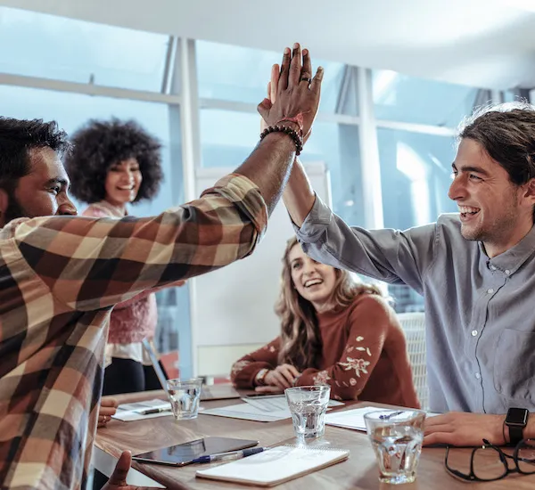 Bidding > Dassault Systèmes