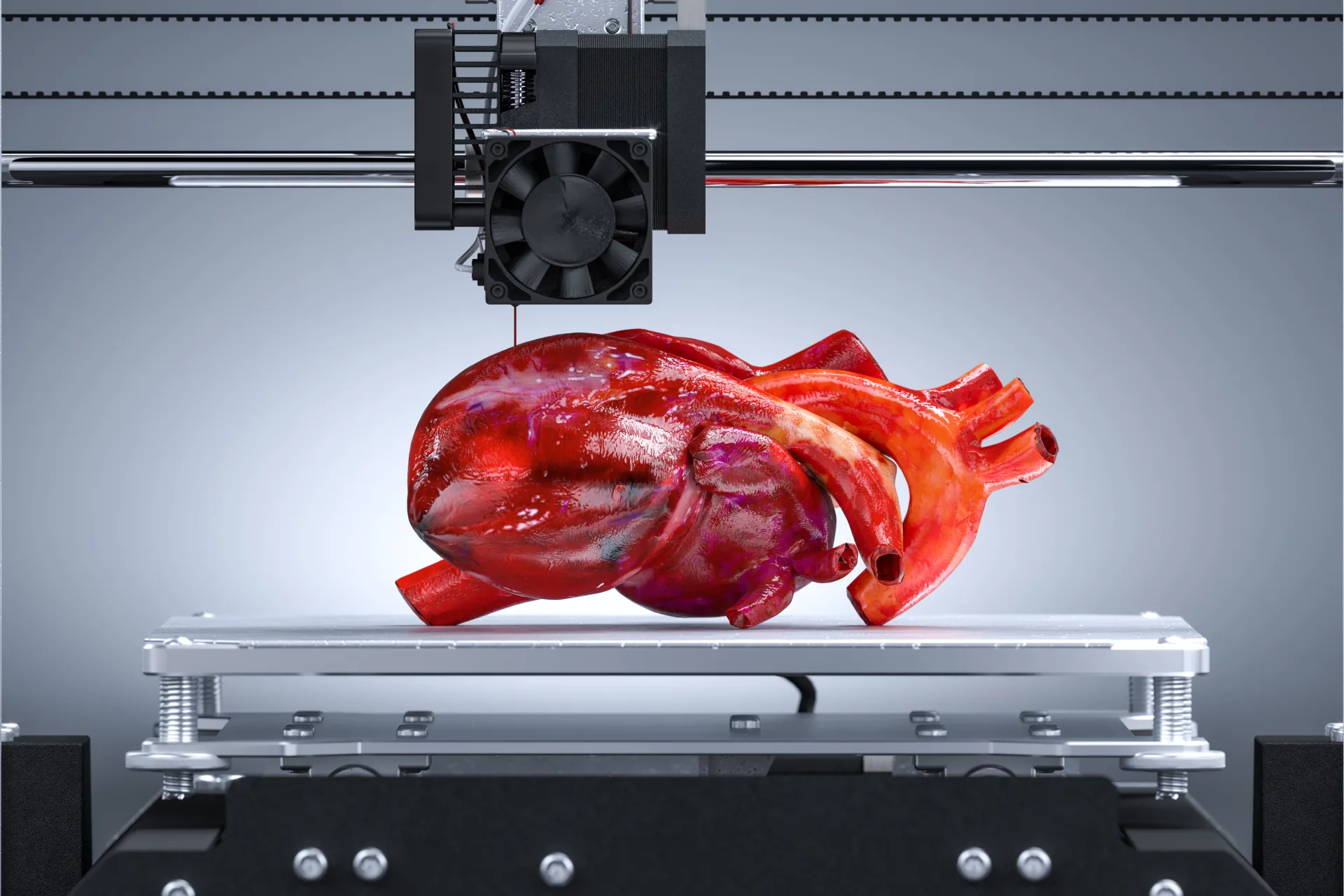 medical 3d printing heart