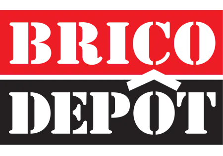 brico depot 3dvia