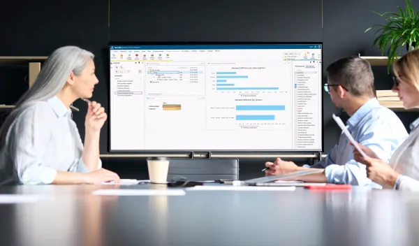 Sales & Operations Planning > Dassault Systèmes