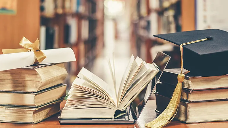 Education requirements > Dassault Systèmes