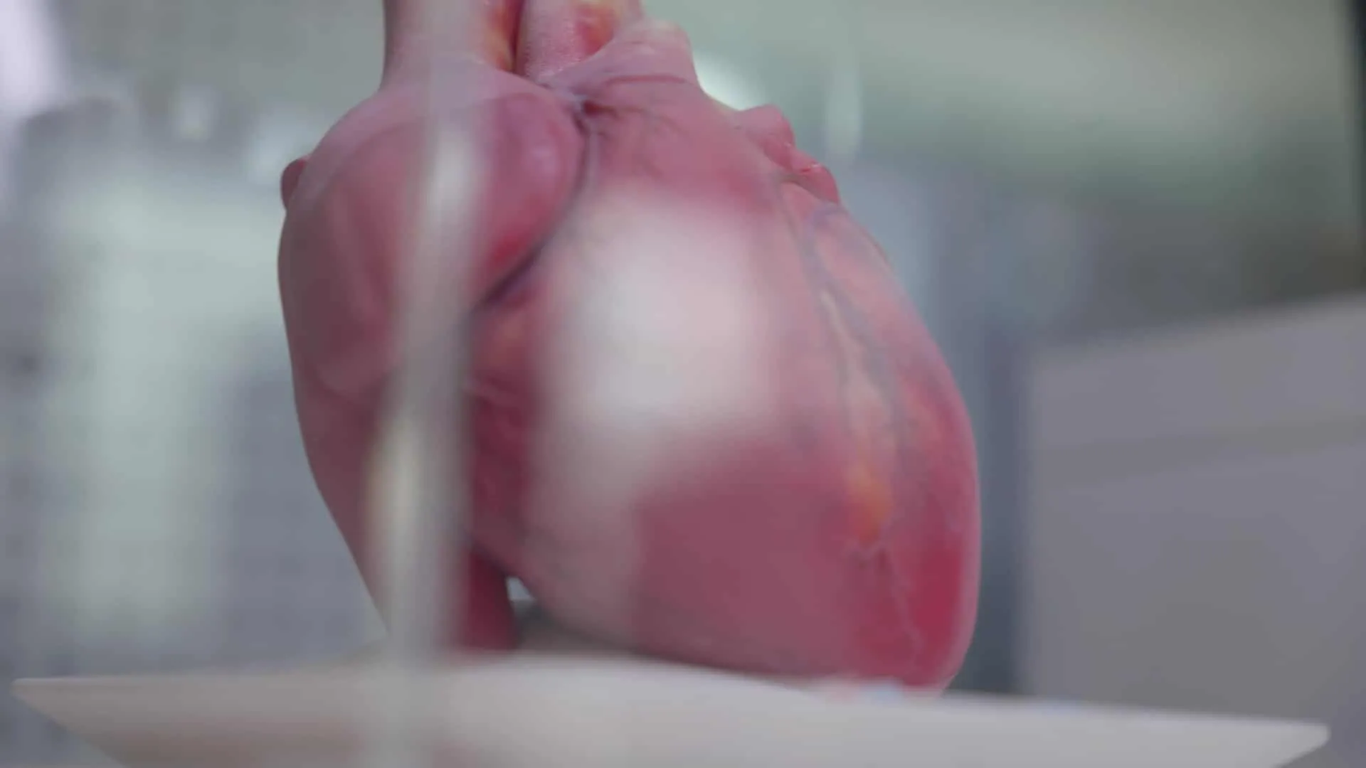 Video usage of photopolymerization - 3DEXPERIENCE Make