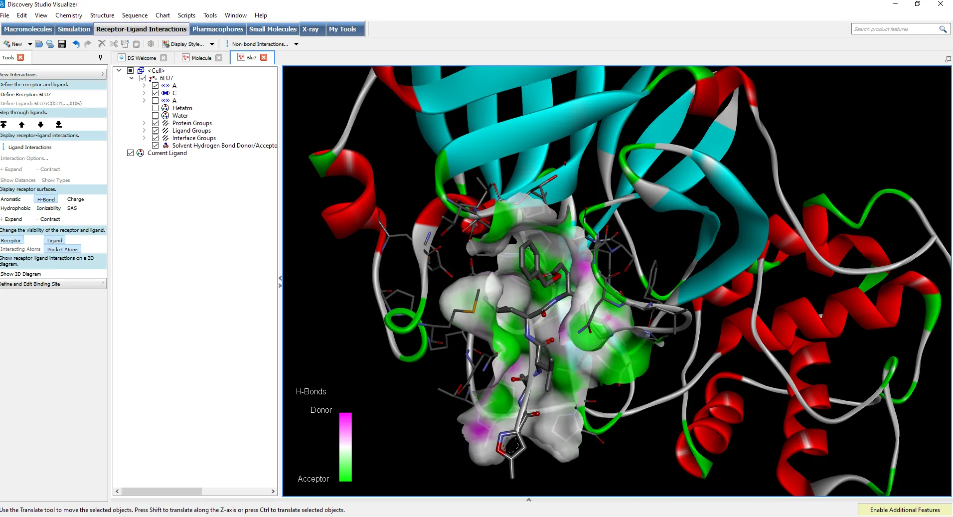Discovery Studio Visualizer > 다쏘시스템